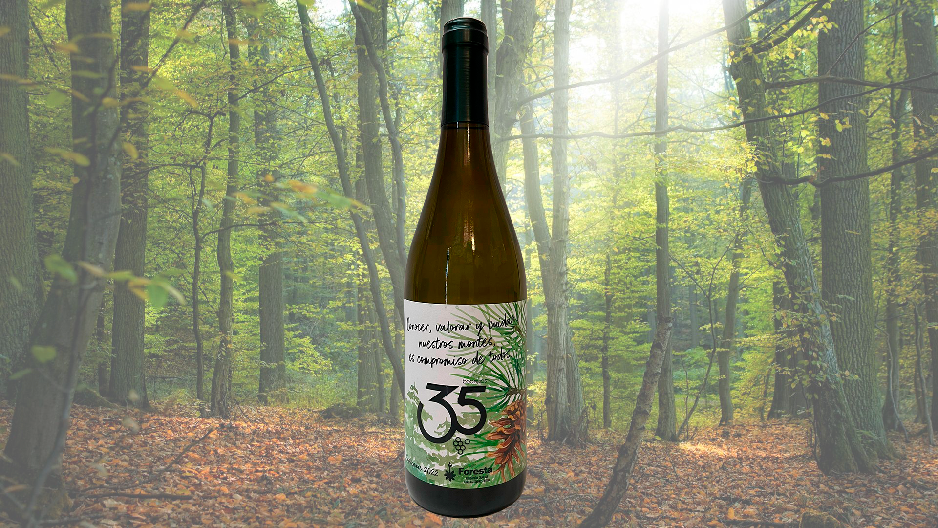 Botella Colaboración con Foresta Disponible